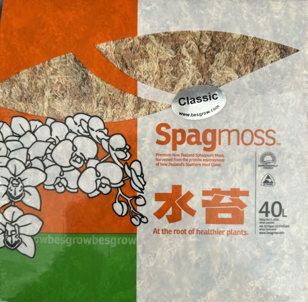 New Zealand Sphagnum Moos