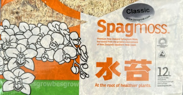 New Zealand Sphagnum Moos
